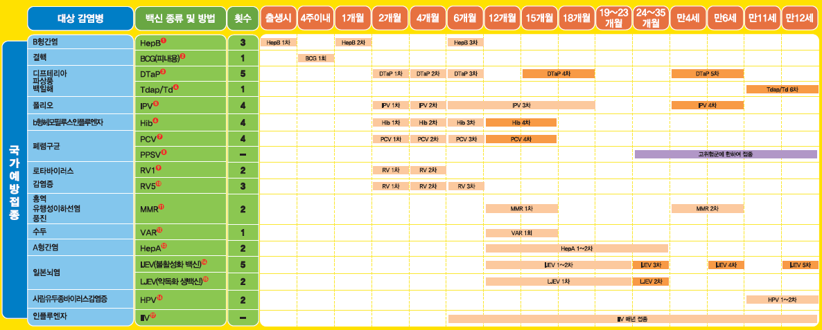어린이 예방접종 국가예방접종 일정표