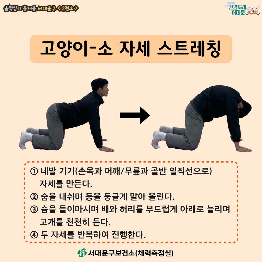 [움직임이 즐거운 서대문구 2월호] 건강 운동 챌린지