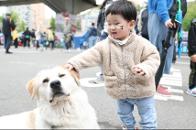 15ȸ 빮  45