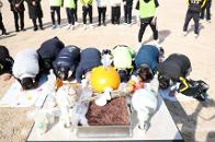 ���빮 �౸ȸ �ù��� 5