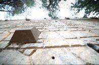 �غ��� ��������(ȫ������������Ʈ ����Ʈ) 1