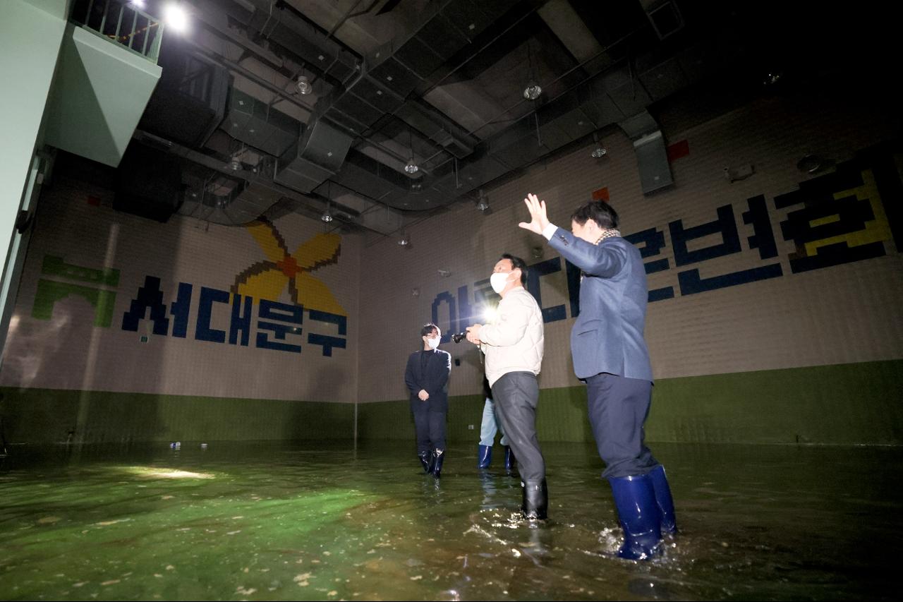 �����̹���