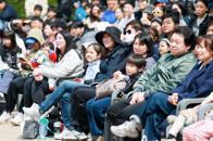 2026 ���빮 ����������������Ÿ ������ 5