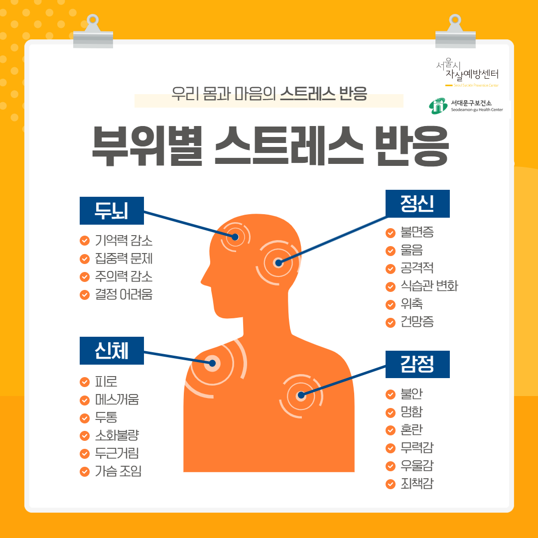 두뇌: 기억력감소, 집중력문제, 주의력 감소, 결정 어려움