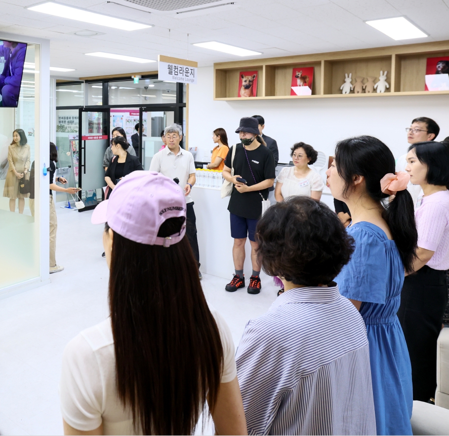 브로콜리 지역정보 관련 사진 4