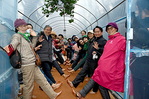 '���� ��� ���� ���á����� ��� ���� ���� ���빮' ������ ����