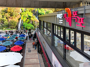 '���� ��� ���� ���á����� ��� ���� ���� ���빮' ������ ����